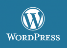Profesionalna izrada web sajtova u WordPress-u
